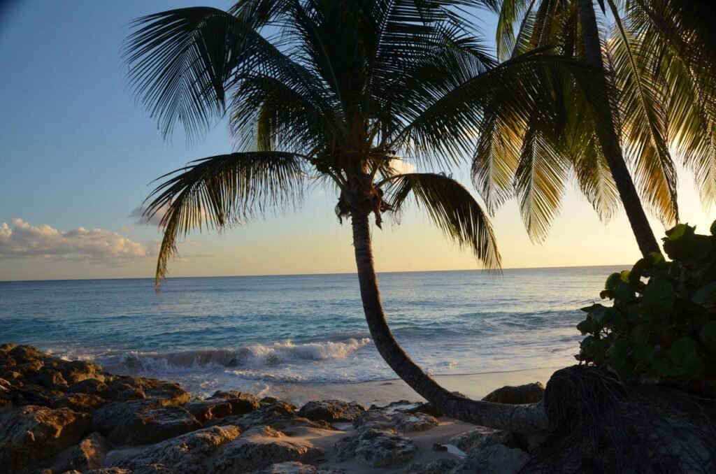 How to Travel the Caribbean Cheaply: The Ultimate Inter-Island Flight Hack Guide pexels jeffrey eisen 1257101 2387725
